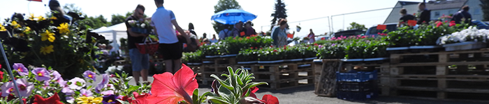 Banner_0006_DSCN6959